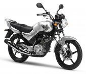 2008 Yamaha YBR125 photo